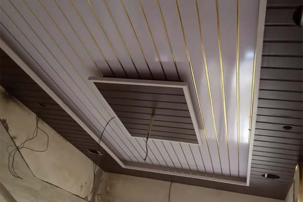Silvora Golden line panel